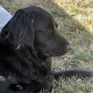 Meet your Posher, Jeff